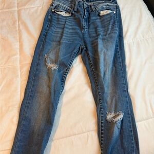 Judy Blue Distressed Skinny Jeans in Blue